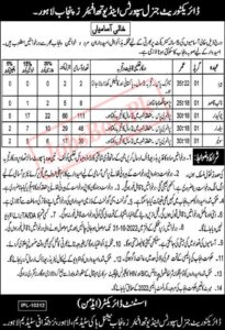 Sports and Youth Affairs Department Punjab Jobs 2023 Online Apply