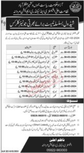 Elementary & Secondary Education Jobs 2024