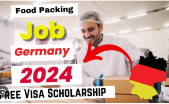 Food Packing Helper Jobs in Germany For Foreigners 2024