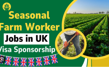 Seasonal Vegetable Packer Farm Jobs in UK 2024