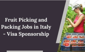 Fruit Picking Jobs in Italy Family Farms 2024 – Apply Now