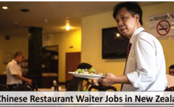 Chinese Restaurant Waiter Jobs in New Zealand 2025