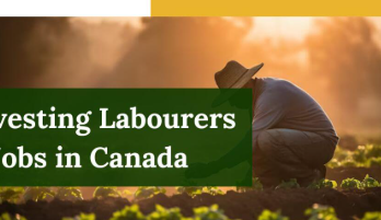 Greenhouse Labourer Jobs in Canada 2025 – Apply Now